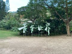 -青青世界