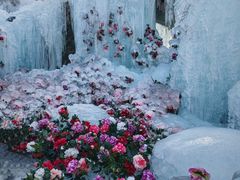 -洛阳白云山景区