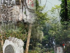 -广州市流溪河国家森林公园