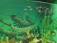 -常州海昌海洋探索馆