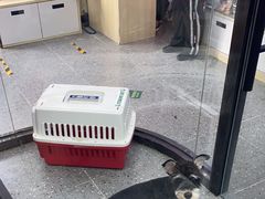 -宠物家(大兴旧宫店)