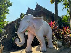 -西双版纳傣族园