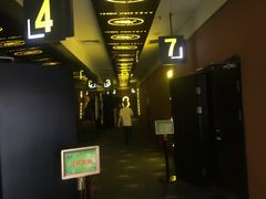 -保定金棕榈先天下国际影城(LUXE)