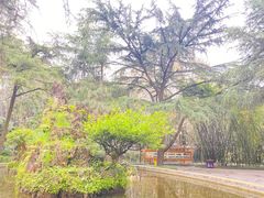 -望江楼公园
