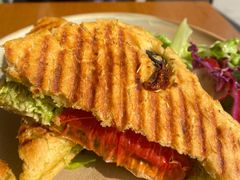 -Jamaicablue Coffeeshop(中央广场店)