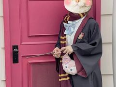 -E·S哈利正版魔法袍出租体验馆