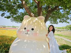 -江苏三台山国家森林公园