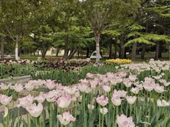 -石家庄市植物园