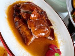 -同庆楼(华强吾悦广场店)