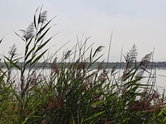 -野鸭湖国家湿地公园