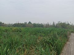 -白鹭湾湿地公园