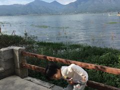 -蘑统田下·野生菌火锅