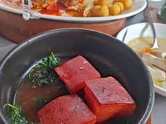 -吴越荣记苏州菜·松鼠桂鱼100%活鱼现做(斜塘老街店)