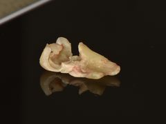 -精德口腔·种植修复·儿牙中心(财富中心店)