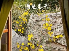 -桃花堤公园