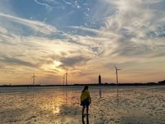 -奉贤海滩