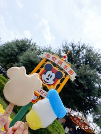 突然翻到几年前迪士尼的照片,一天真的不够好吗