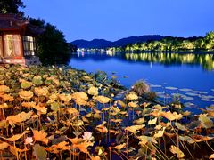 -湘湖大院(越王路店)