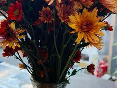 -后海16号·北京私房菜