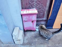 -正阳书局(西四南大街店)
