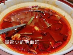 毛血旺-金鼎轩(方庄天坛店)