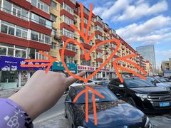 -青奢宠物·青奢猫舍