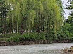 -楚秀园