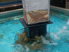 -盒马鲜生(领丰汇店)