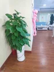 -Dr.林醫生产后修复·超级店(南京江宁同曦店)