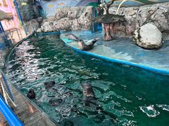 -横店影视城梦幻谷园区