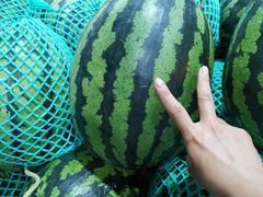 -双福水果批发市场