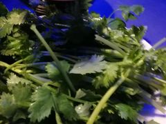 -7mall美食潮地标