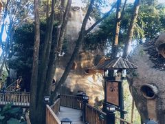 -天门沟九州驿站树上汤泉