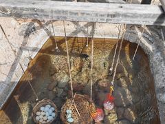 -天芳悦潭度假村温泉