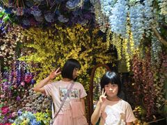 -正佳雨林生态植物园