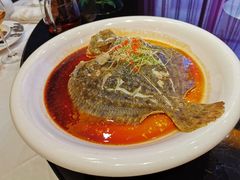 清蒸多宝鱼-马仕玖煲·融合菜·酥不腻烤鸭(人大店)