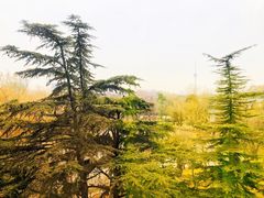 -钓鱼台国宾馆