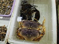 -霞涌市场海鲜摆卖区