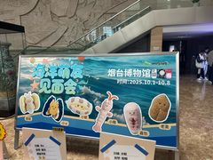 -烟台市博物馆