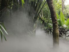 -呀诺达热带雨林