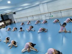 -西安小天鹅艺术团(曲江Alice店)