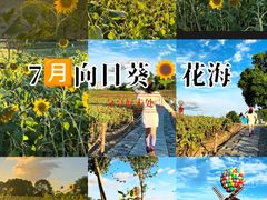 -苏州湾体育公园