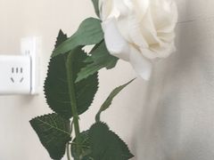 -大四喜沙拉(四条巷店)