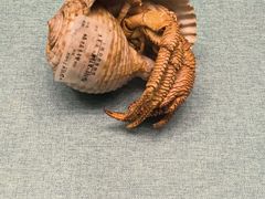 -上海中国航海博物馆