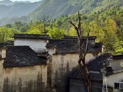 -塔川景区