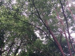 -乌镇东栅景区