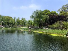 -阳澄湖半岛旅游度假区