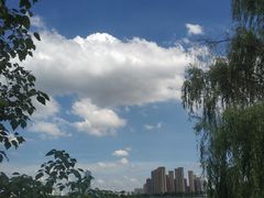 -金银湖国家城市湿地公园