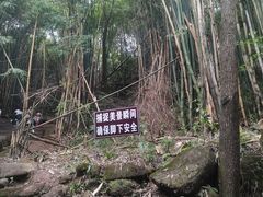 -凤栖山
