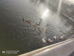 -西安汉城湖景区